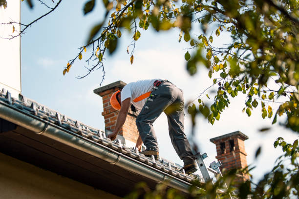 Best Best Roofing Contractors  in Osage, IA