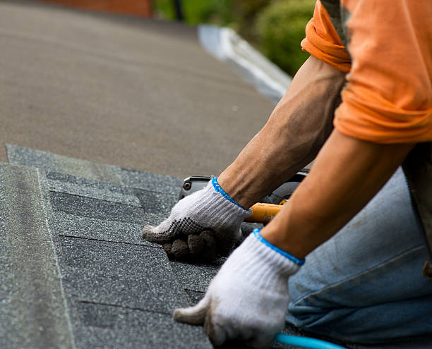 Best Flat Roof Repair Services  in Osage, IA